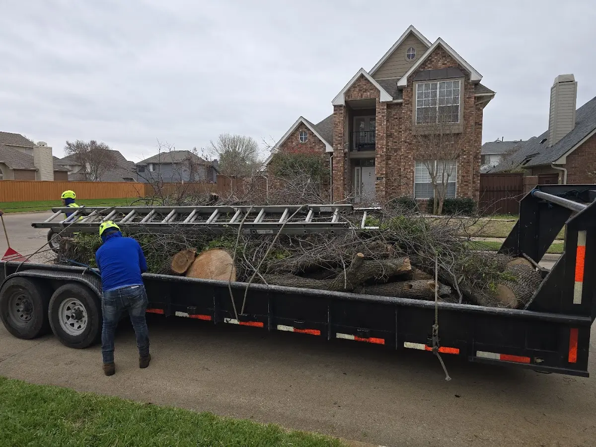 Expert Lot Clearing with proper safety equipment in Kemah